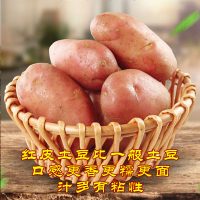乡村公社 云南特产红皮土豆黄心农家自种小土豆马铃薯洋芋新鲜蔬菜批发 8斤