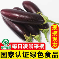 湖南洞庭农家紫色长茄子大茄子农家自种现摘当季新鲜蔬菜整箱3斤