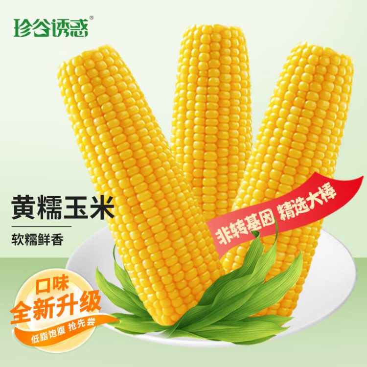 珍谷诱惑 25年东北甜糯玉米棒 鲜食软糯 原产地直发 真空包装 10支 2.4kg