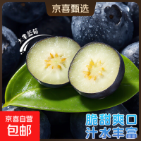 京喜自营 秘鲁蓝莓 孕妇新鲜水果精选送礼 2盒装(90-115g/盒)中果(单果15mm+)