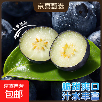 京喜自营 秘鲁蓝莓 孕妇新鲜水果精选送礼 2盒装(90-115g/盒)中果(单果15mm+)